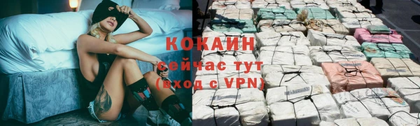 прущие крисы Верея